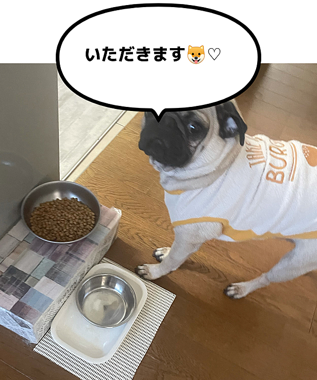 今日は2022年2月22日🐶♡❣️