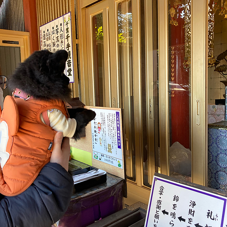 うにママとうにママのママがコロナ陽性になったり、だらおの訪問マッサージ先の施設がまん防発令のためにストップしたりと何かといい事ないので、厄払いに行こうとなりまして、関東三大不動の千葉厄除け不動尊に行ってきました🚗 ³₃