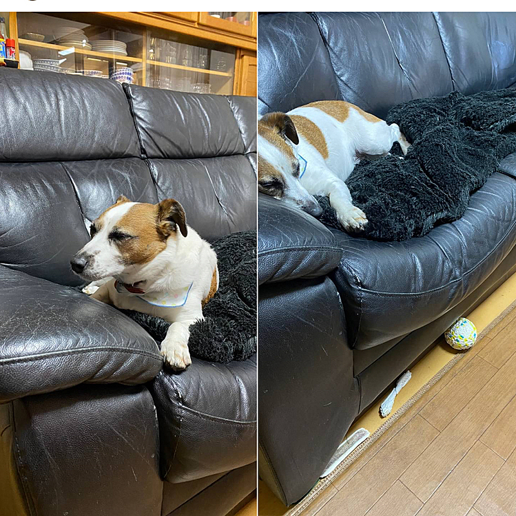 なんか、すねてる‼️