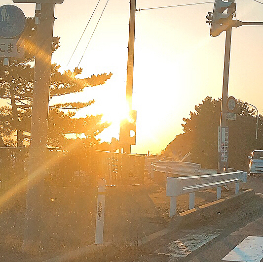 夕陽でも見て落ち着こう😃
ったく。。いつまでも暴れん坊まある🌀🌀
でも元気な証拠😃