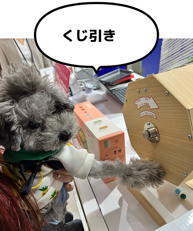 くじ引きワン