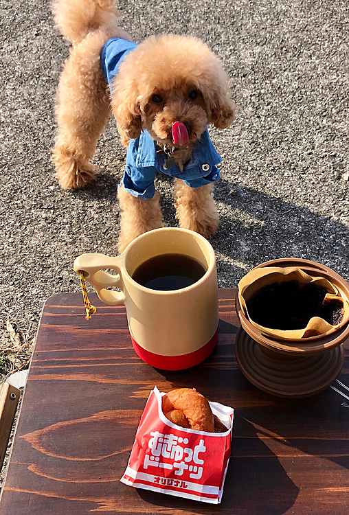 土曜日午後もドライブしてミスドで半額クーポンでいろいろ買ってまた河原。

自宅より10分位でいつものポイントです。