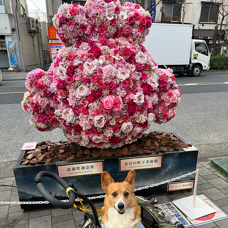 桜神宮は世田谷区の桜新町にある神社なのですが、桜新町と言えばサザエさん😁