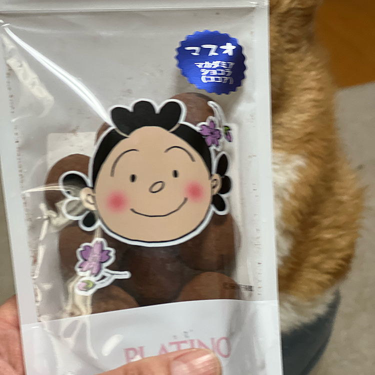 得意の早朝訪問でお店もほぼ開いていなかったですが、しっかり見たらいいお店もあるみたいでした☺️
サザエさんチョコ買って帰りました❤️
