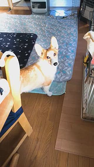 夕方、夕陽に照らされて光ってたので写してみたよ🤣