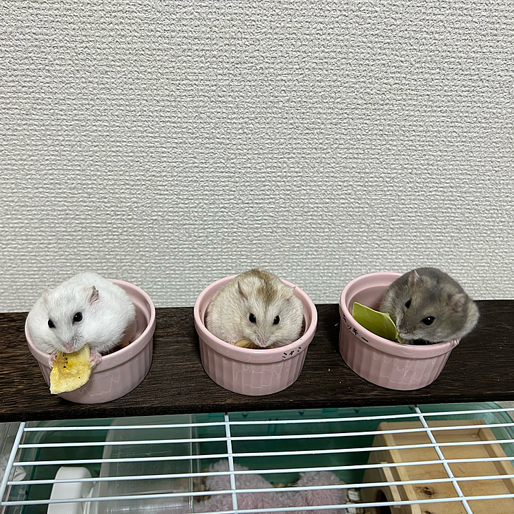 みんなで仲良くご飯💓
