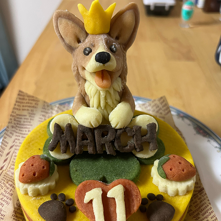 今年もロビナさんでマーチさんケーキ作っていただきました🎂
かわいい😍