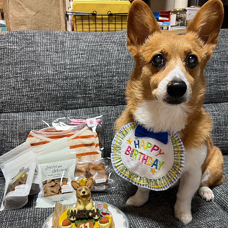 ケーキと一緒にロビナさんでおやつもたくさん買って、お祝いです💓朝早い🤣