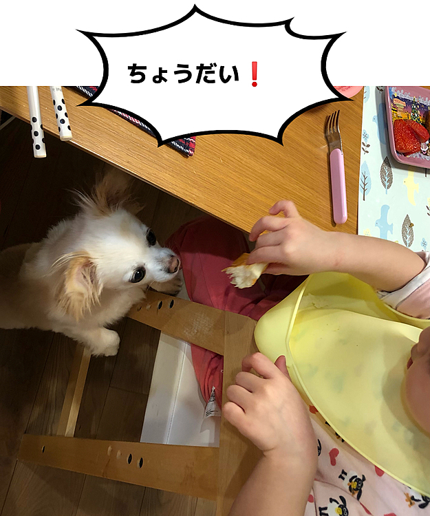MARONの投稿