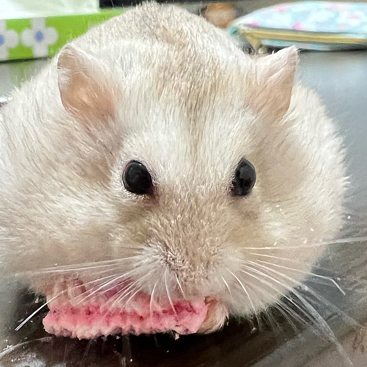 おやつTime💓！

