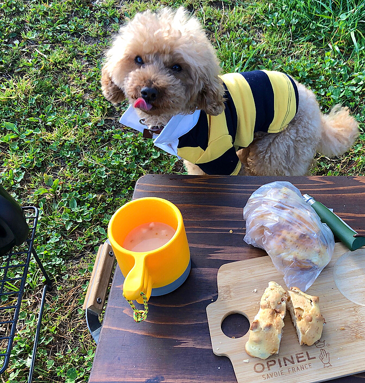 飼主は、焼き立てホカホカパンとインスタントスープ