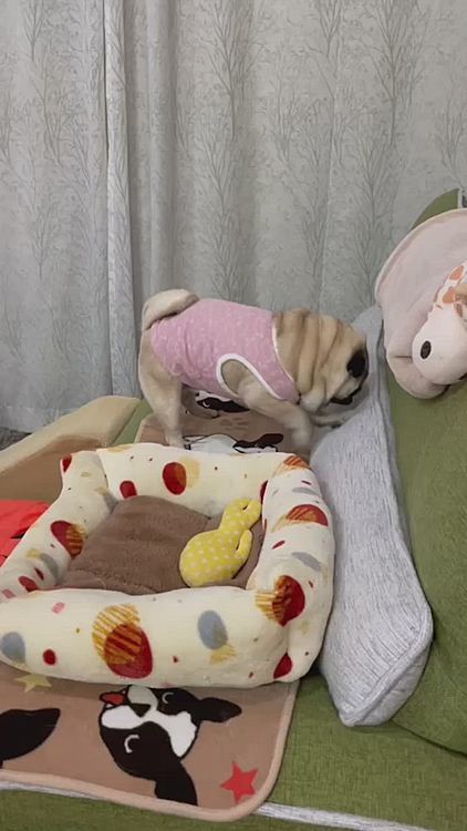 激しくホリホリ🎶ホリホリ🎶