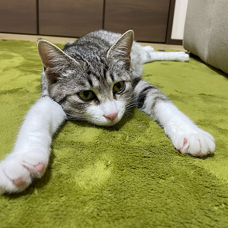 こもも...通称ももちゃんです😊