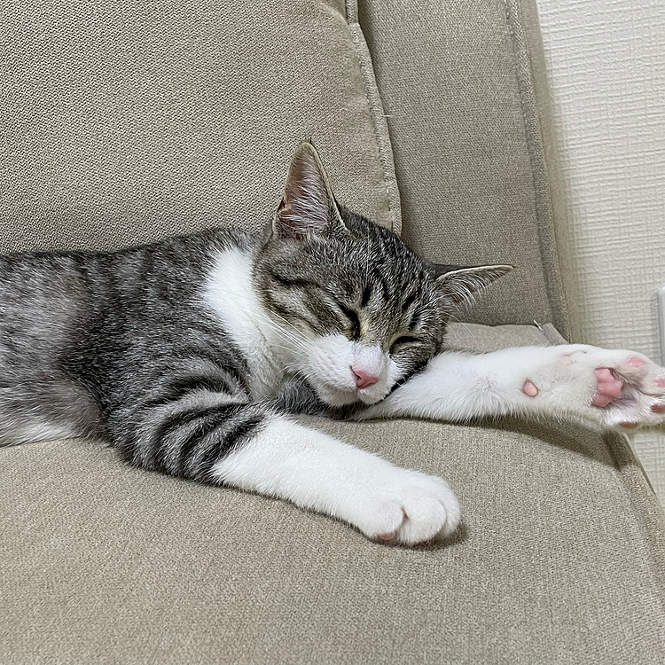 こはな...通称はなちゃんでーす😍