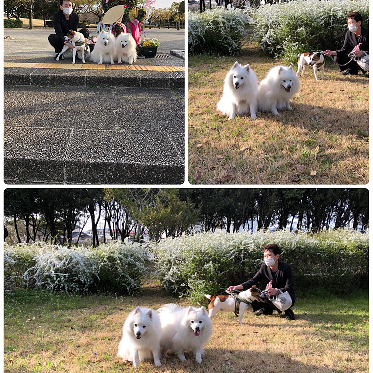 ちょっと小寒ったかったけど、公園に散歩に‼️