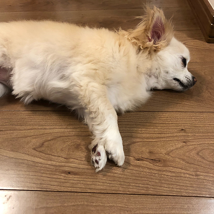 たくさん遊んで、お風呂に入って…からのお昼寝タイム💤