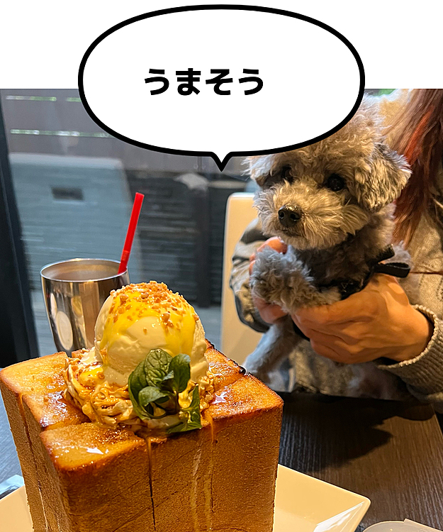いただきまーす