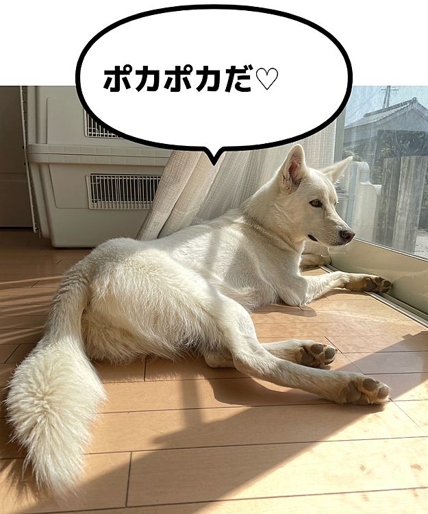 お気に入りの窓辺でまったり♡