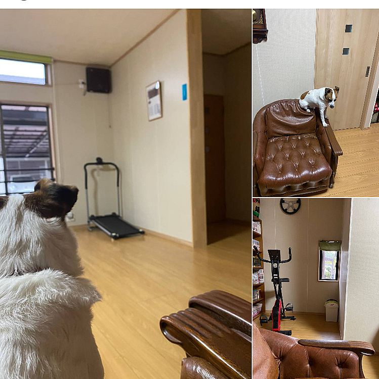 興味はあるが、、、