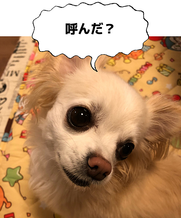 MARONの投稿
