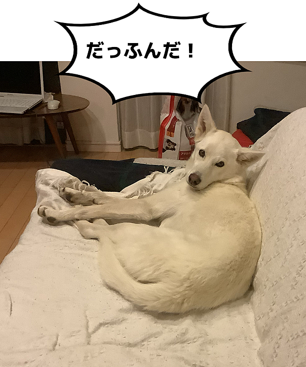 ちーぽやの投稿