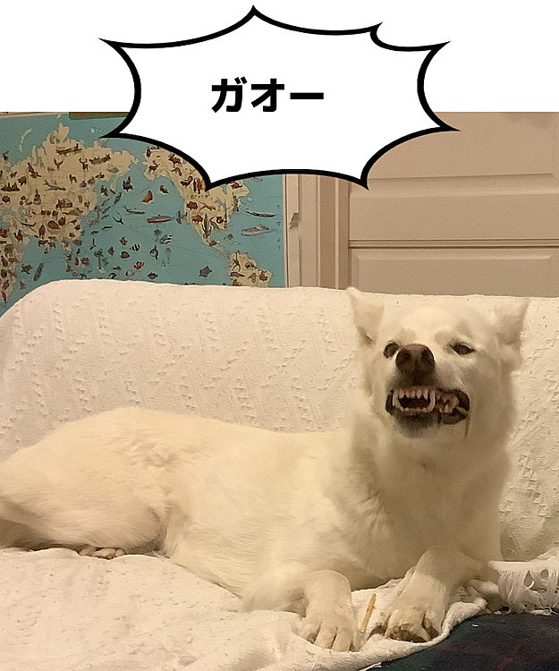 ちーぽやの投稿