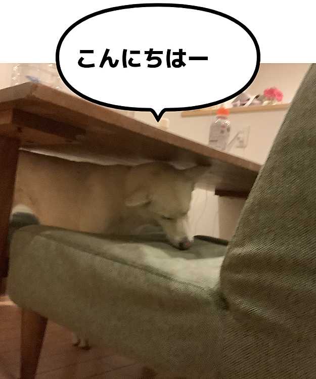 ちーぽやの投稿