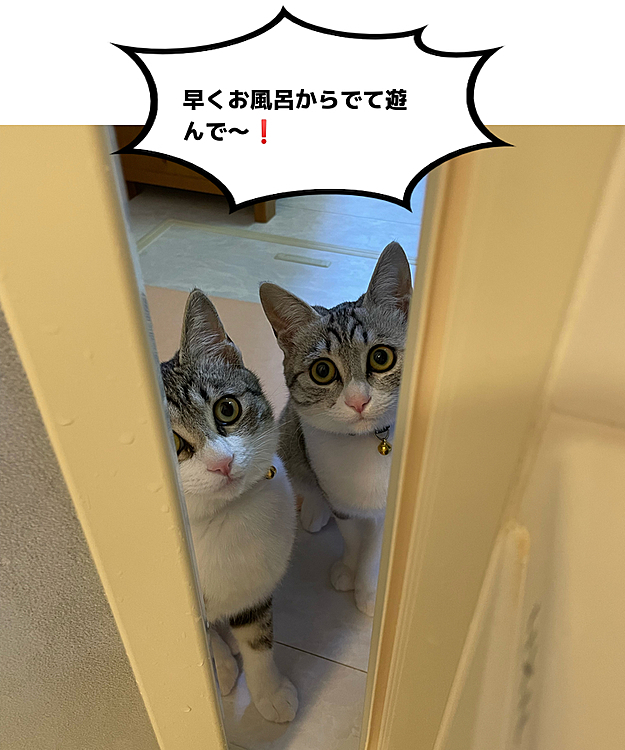 あややの投稿