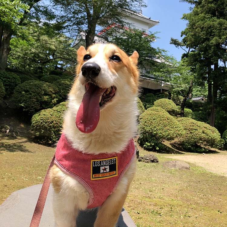 あなたも成長したわよね😃
写真は去年のものですが🌀