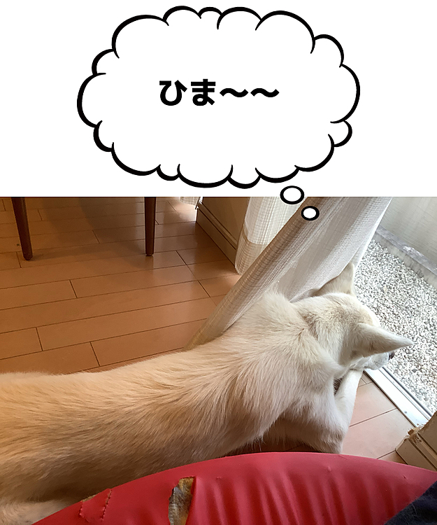 ちーぽやの投稿