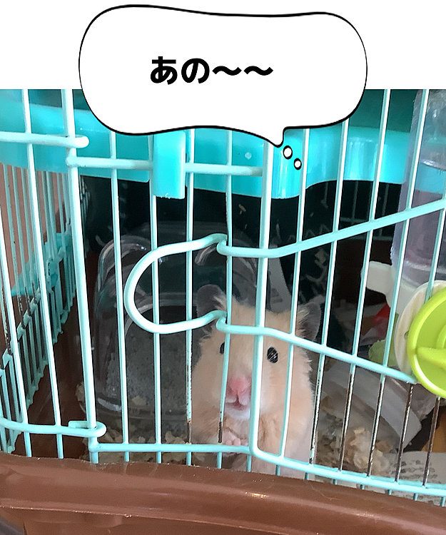 ちーぽやの投稿