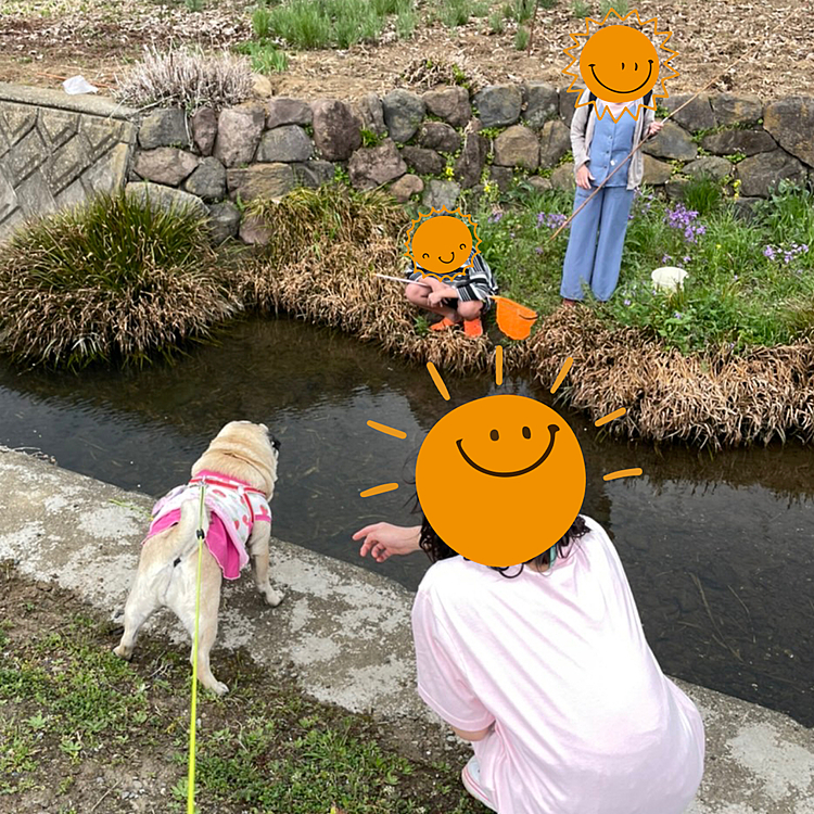 小川のそばで近所のお兄ちゃん＆お姉ちゃんにかわいがってもらいました🐶
