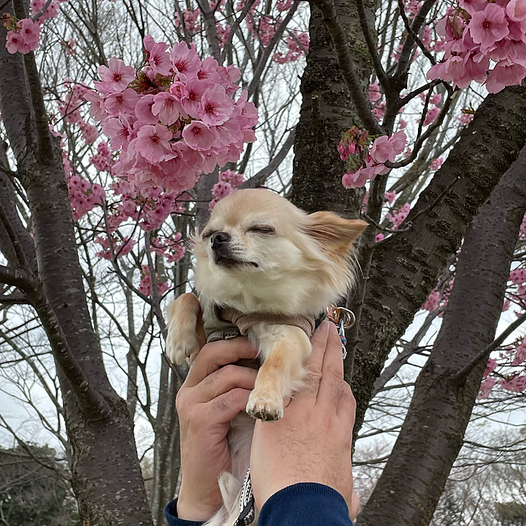 怖いから目をつぶっているみたいです🤣🤣