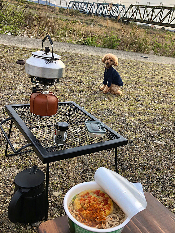 飼主は、お気に入りの関東版天そばとシフォンケーキ✌️