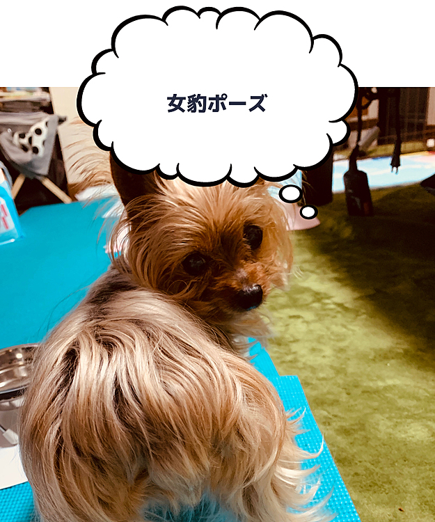 Ｂettyの投稿