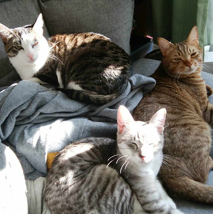 仲良し3ショット！