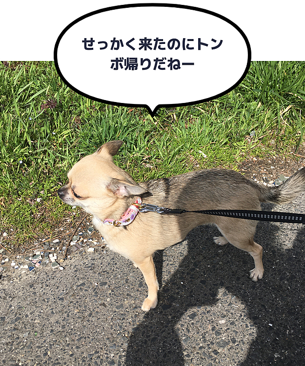 しかし、場所は分かってたつもりだったんですが迷ってしまって...30分遅刻
着いたら「次のお客様の予約になりますので」とキャンセルとなってしまいました💦カーナビ設定しておけばよかったといつも思う母なのでした😅