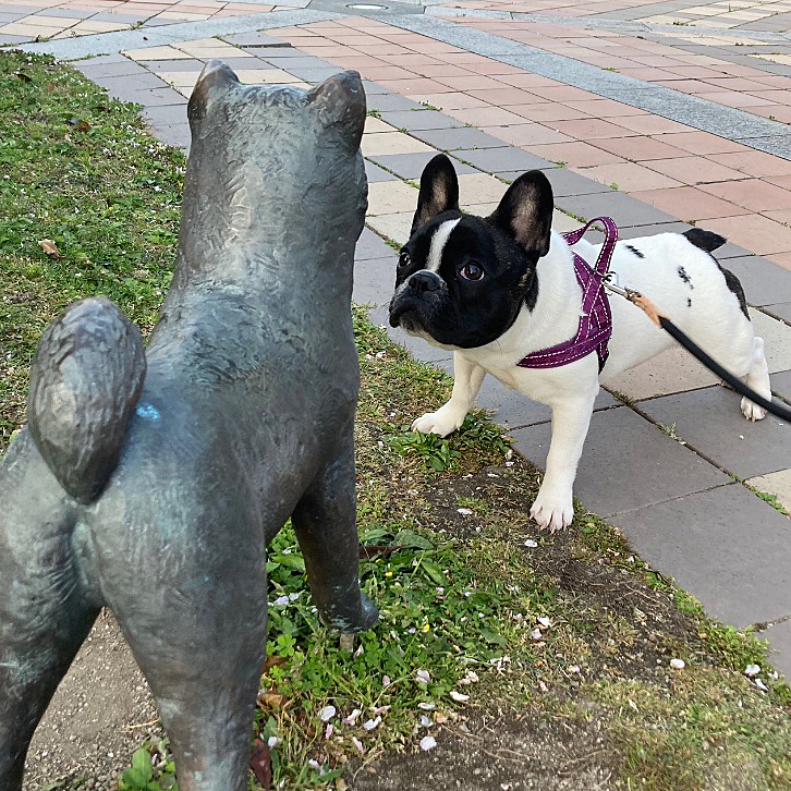 後ろ姿似てるよ〜😁
