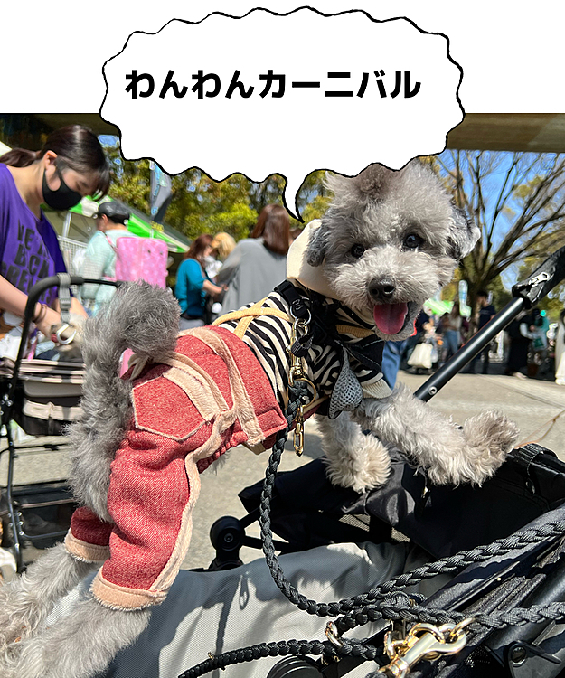 わんわんカーニバル