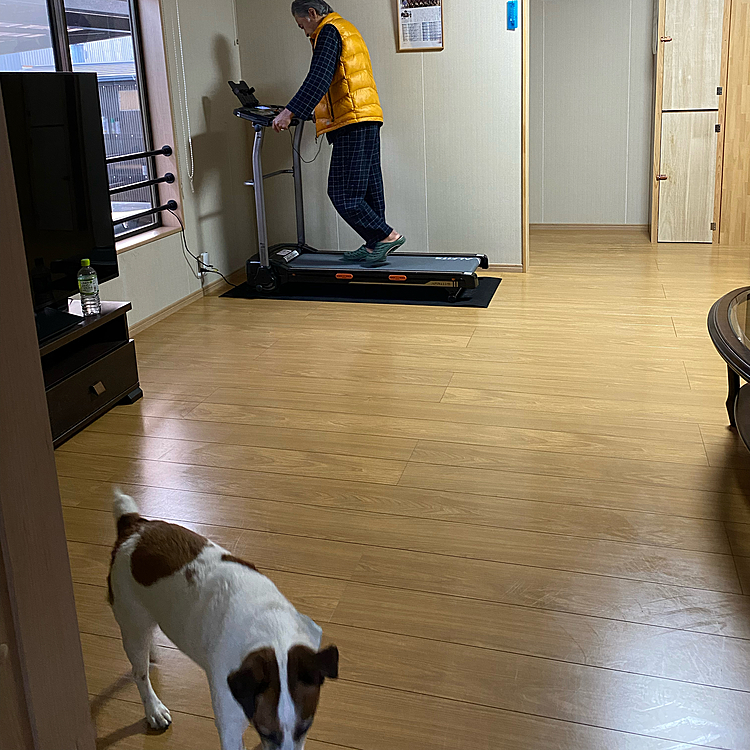 ダイエット、しないと、、、