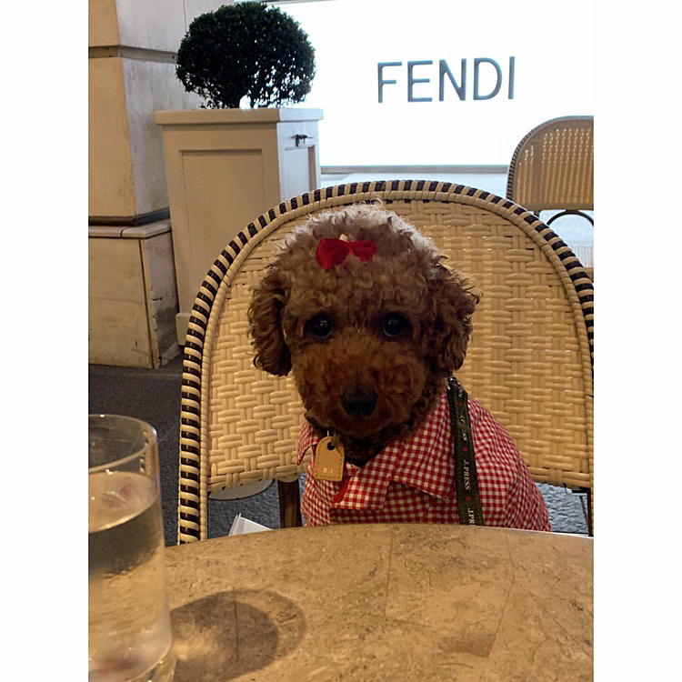 
うしろにFENDI 
昨年、FENDIとコラボしたみたいです。
行きたかったな。