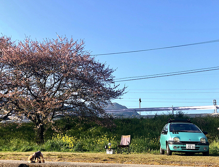 ほぼ同じ朝食風景😆