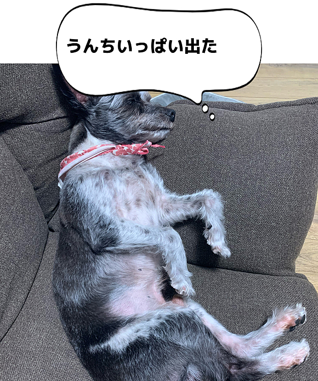 ワタ邊の投稿