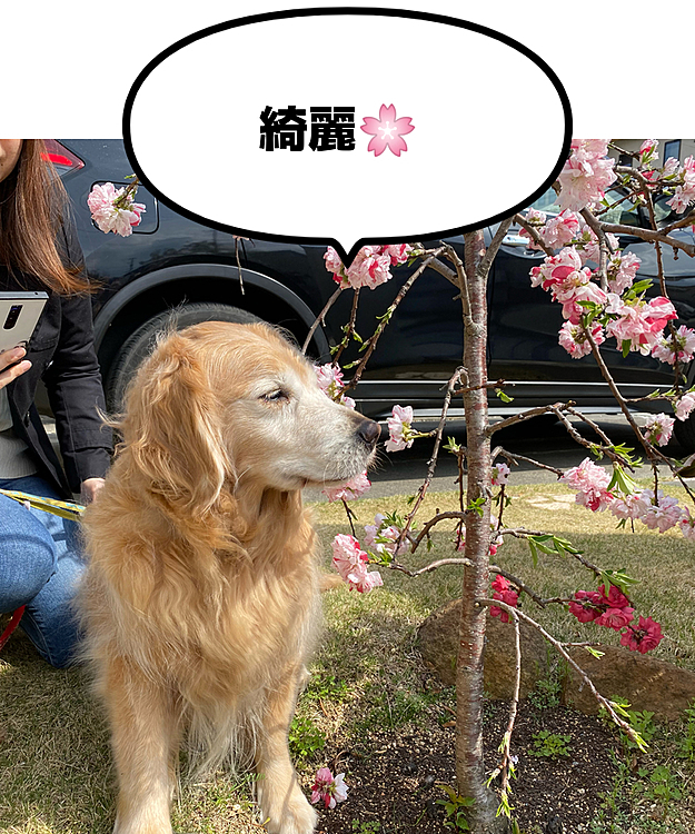 ふみの投稿