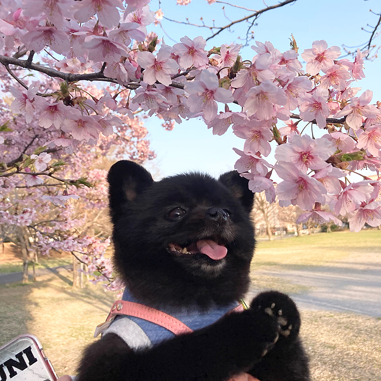 また放置しまくってますが、うには元気です💪