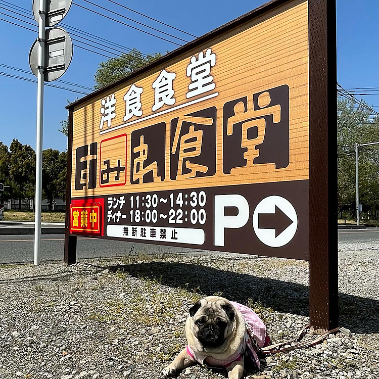 🚗で10分、すみれ食堂さんでランチ🍛