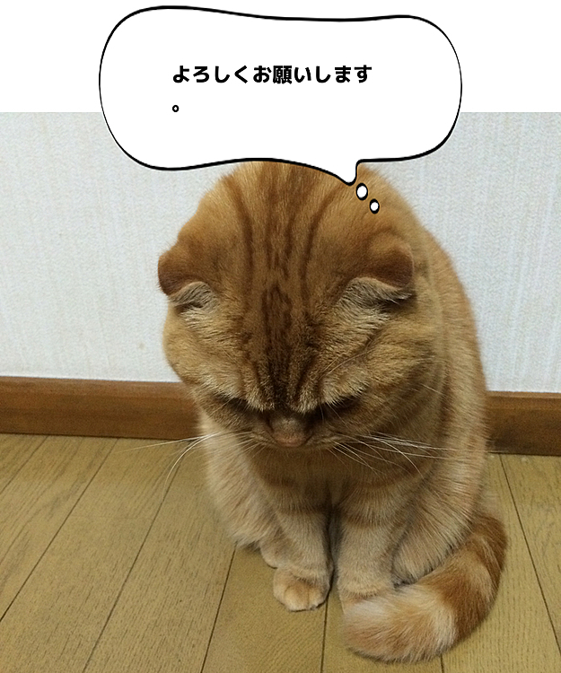 みねぞうの投稿