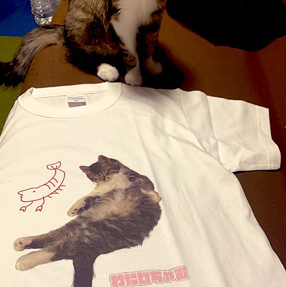 わたげを愛ですぎてTシャツ発注かけたのにサイズ間違いの誤発注できれなかった😂
これはトンネルとか猫じゃらしを貢いでくれた友人にあげることになりました🐈
