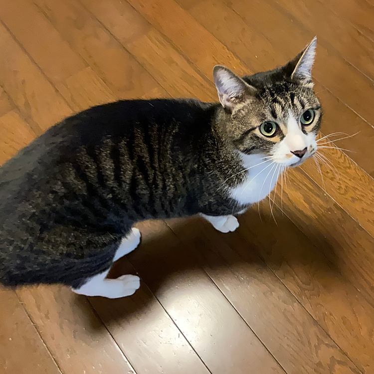 オーナー3482の投稿
