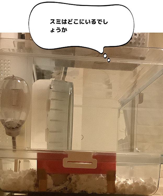 ちーぽやの投稿